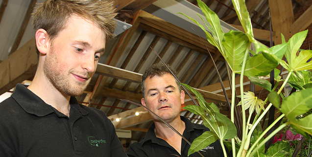 apprenticeship-levy