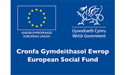 https://gov.wales/international-eu