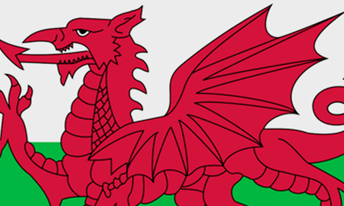 Welsh Language Dragon Cambrian Training Company