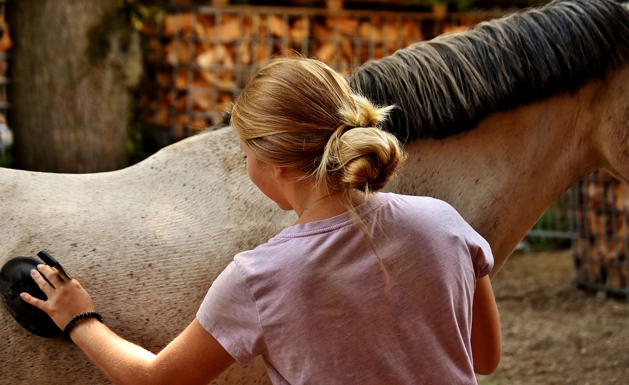 Horse groom job